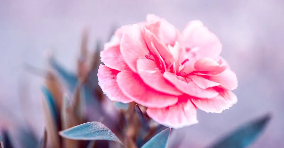 Consejos para iniciar con la jardinería en casa